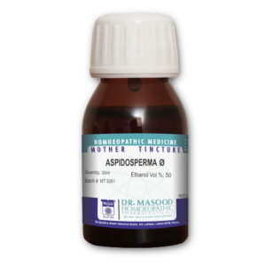 ASPIDOSPERMA-MASOOD